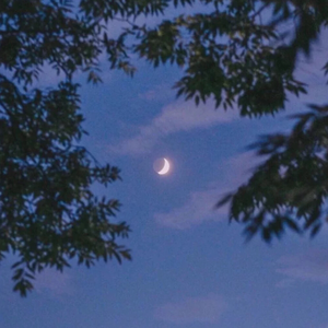 免费年轻女人毛片视频
