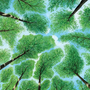 免费年轻女人毛片视频
